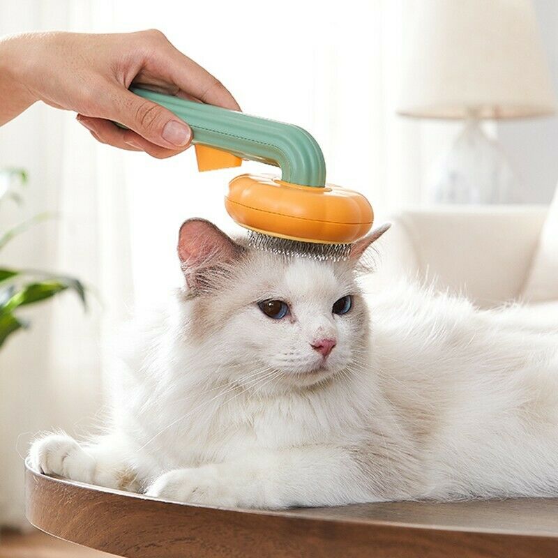 Pumpkin Comb Type Cat And Dog Hair Remover